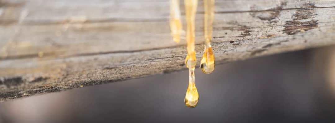 Skuteczne sposoby na to, jak sprać żywicę z kurtki bez uszkodzeń